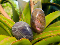 Polished Purple Flash Labradorite Galets x 12 From Tulear, Madagascar - Toprock Gemstones and Minerals 