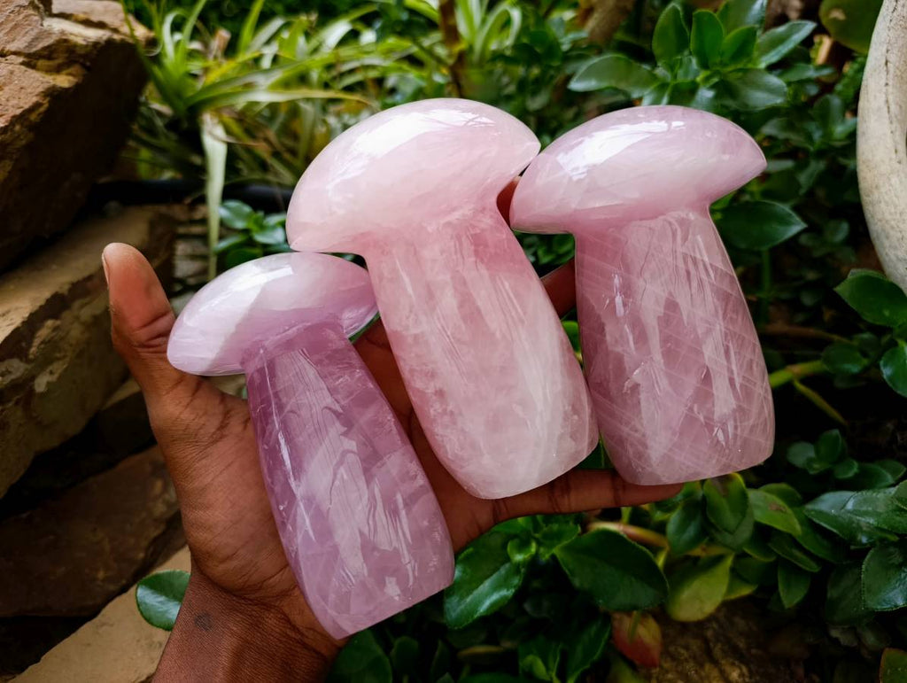 Polished Rose Quartz Mushrooms x 3 From Madagascar - Toprock Gemstones and Minerals 
