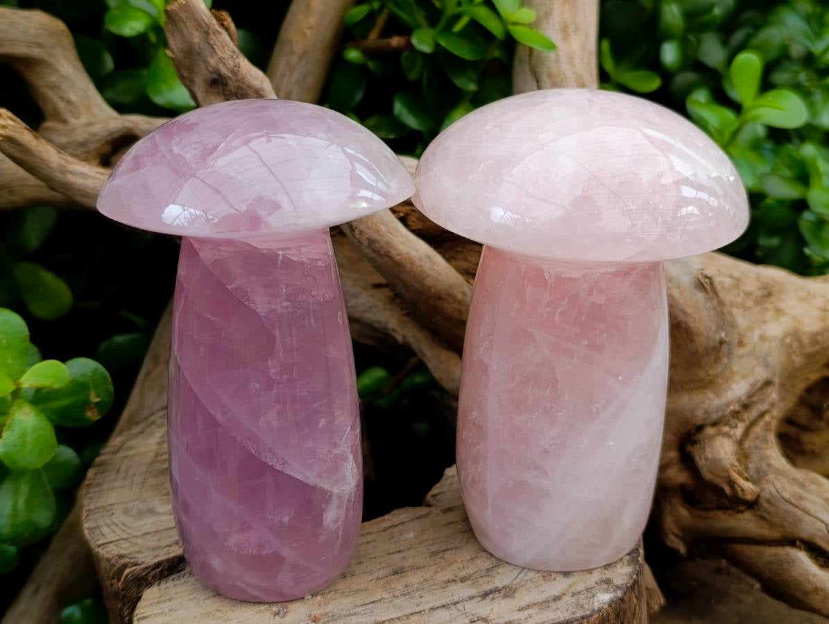 Polished Rose Quartz Mushrooms x 3 From Madagascar - Toprock Gemstones and Minerals 