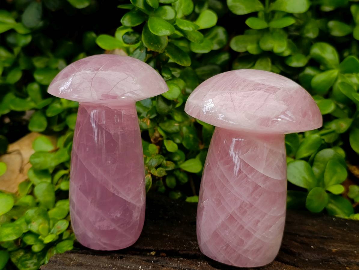 Polished Rose Quartz Mushrooms x 3 From Madagascar - Toprock Gemstones and Minerals 