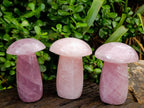 Polished Rose Quartz Mushrooms x 3 From Madagascar - Toprock Gemstones and Minerals 