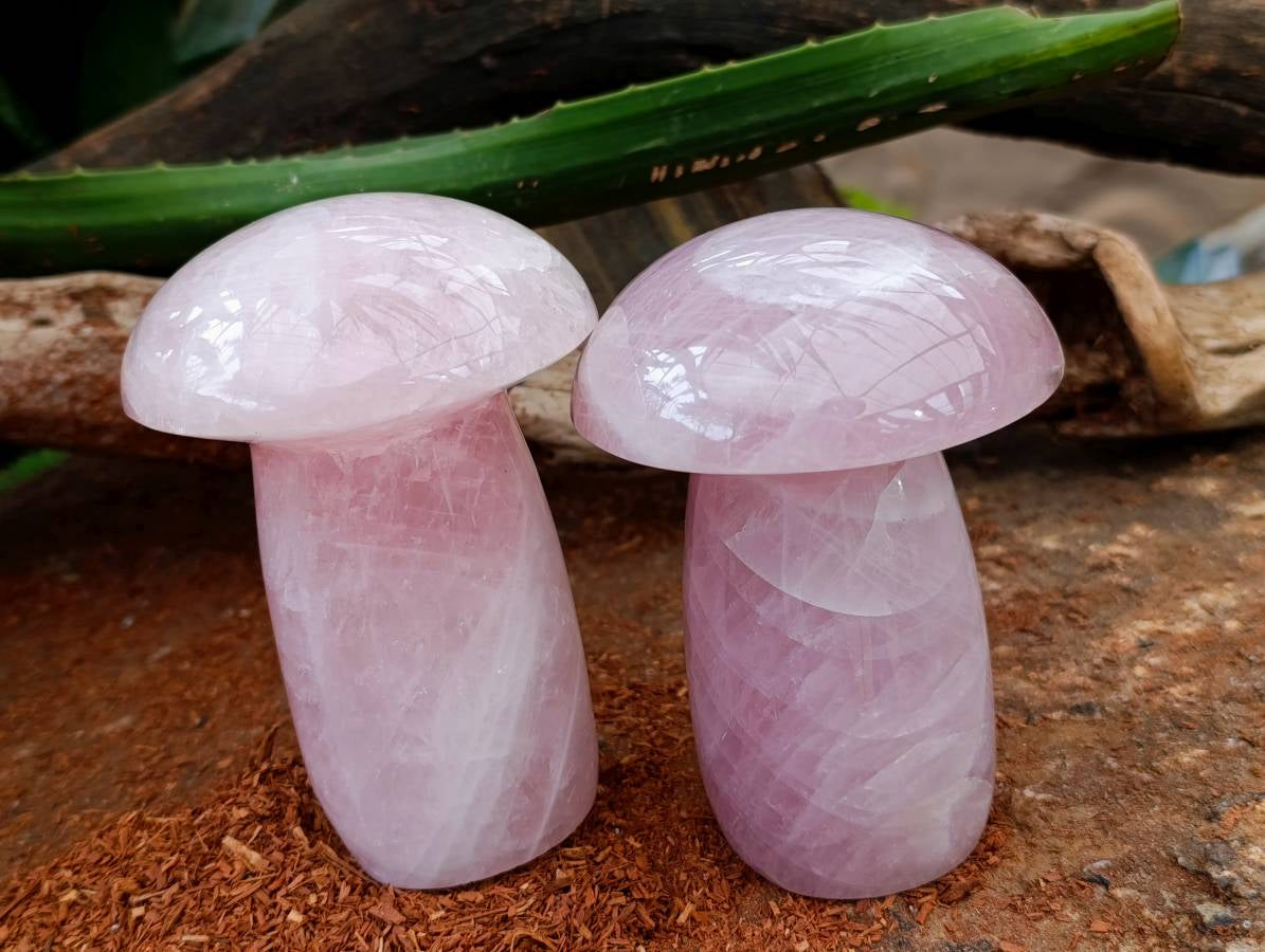 Polished Rose Quartz Mushrooms x 3 From Madagascar - Toprock Gemstones and Minerals 