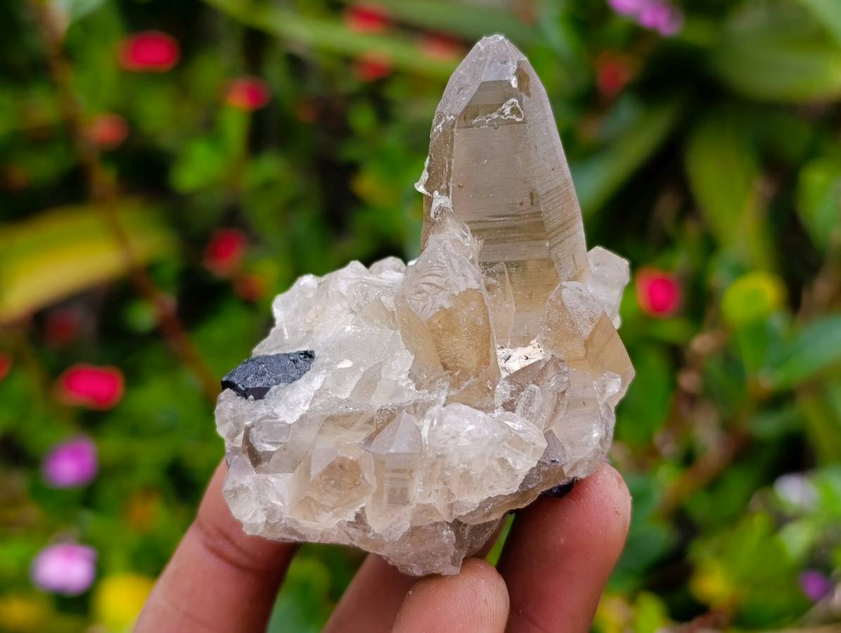 Natural Schorl Black Tourmaline Specimens x 6 From Erongo, Namibia - Toprock Gemstones and Minerals 