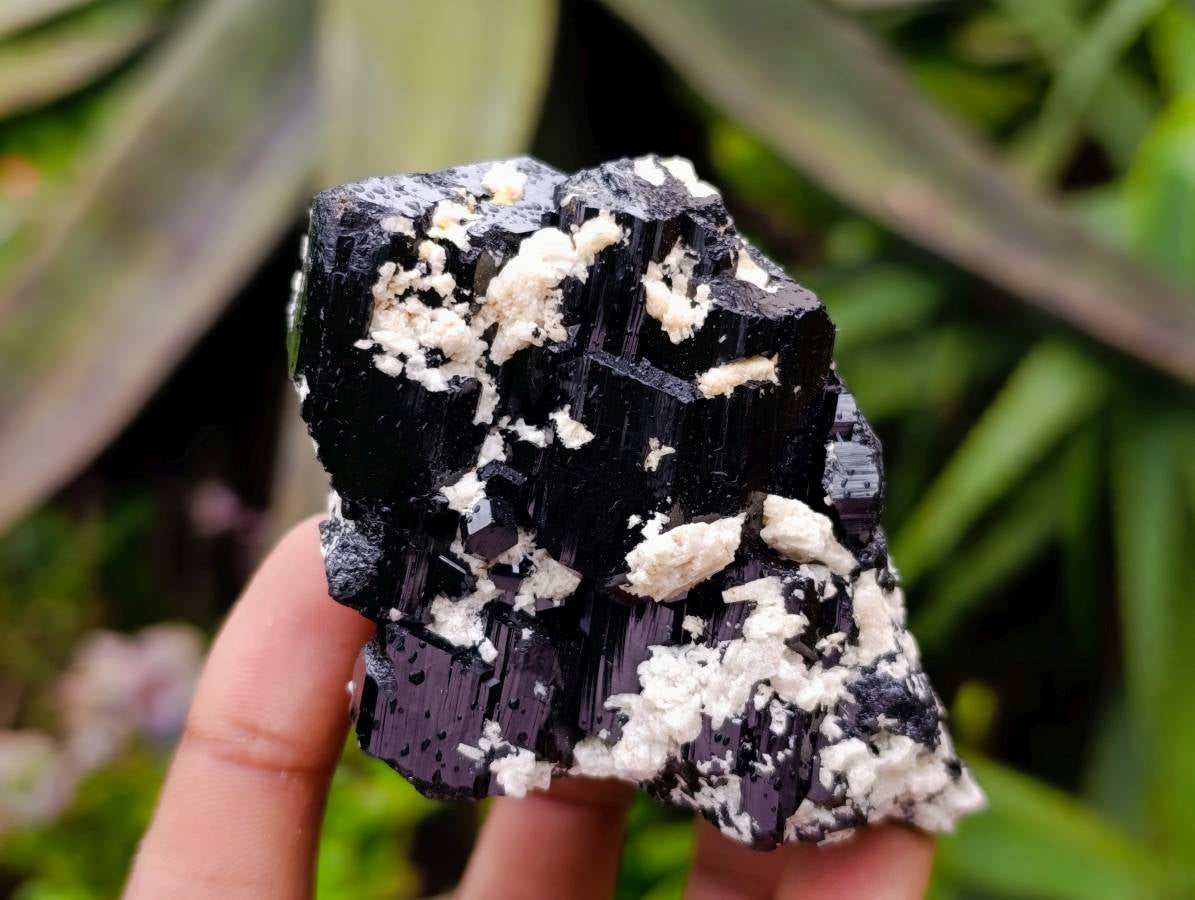 Natural Schorl Black Tourmaline Specimens x 6 From Erongo, Namibia - Toprock Gemstones and Minerals 