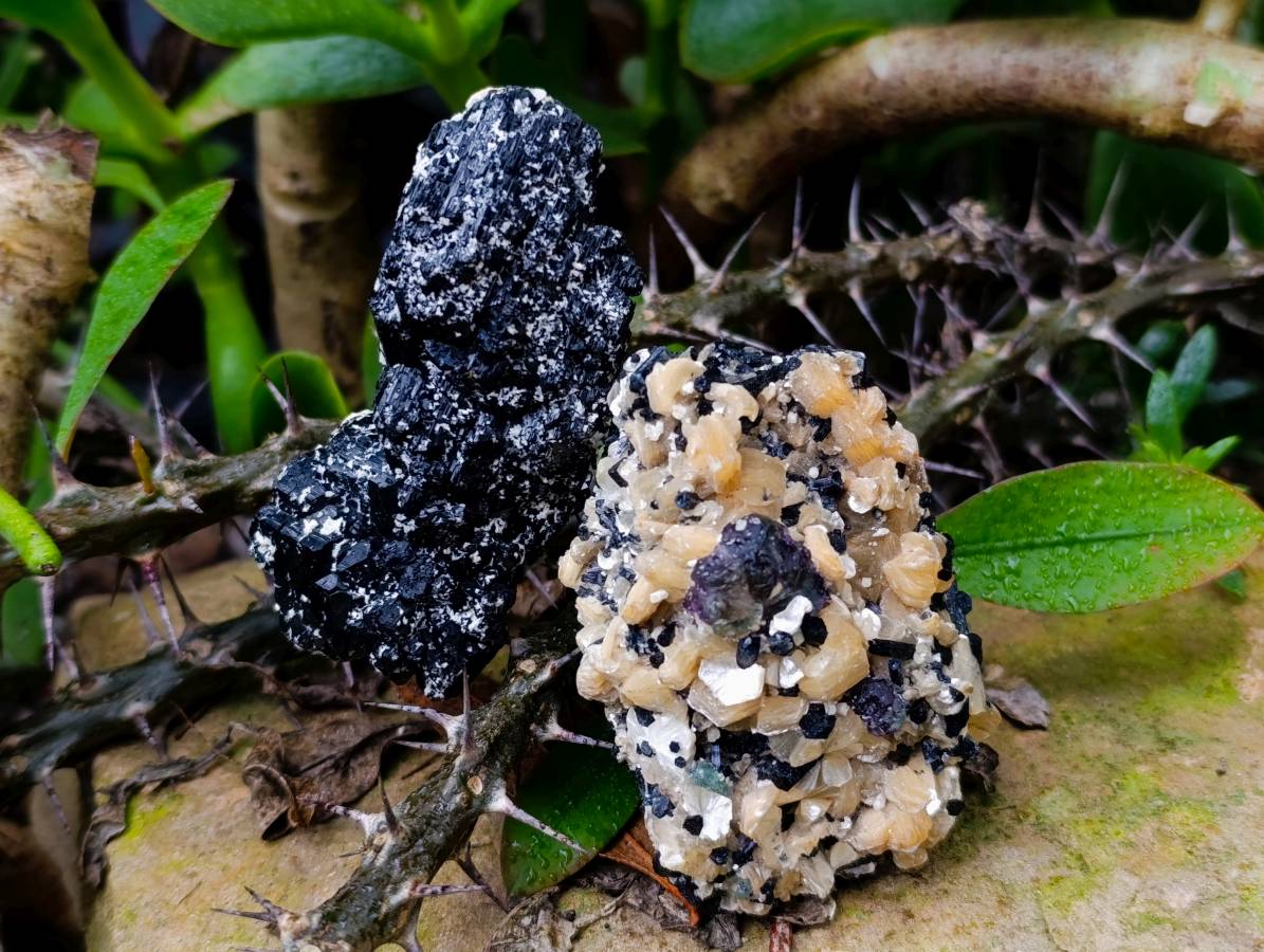 Natural Schorl Black Tourmaline Specimens x 6 From Erongo, Namibia - Toprock Gemstones and Minerals 