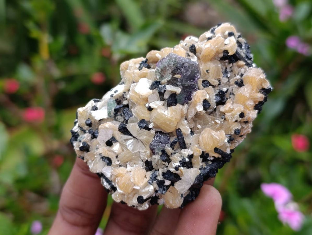 Natural Schorl Black Tourmaline Specimens x 6 From Erongo, Namibia - Toprock Gemstones and Minerals 