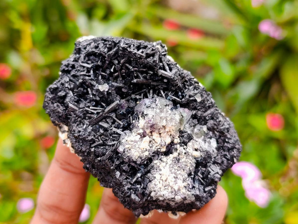 Natural Schorl Black Tourmaline Specimens x 6 From Erongo, Namibia - Toprock Gemstones and Minerals 