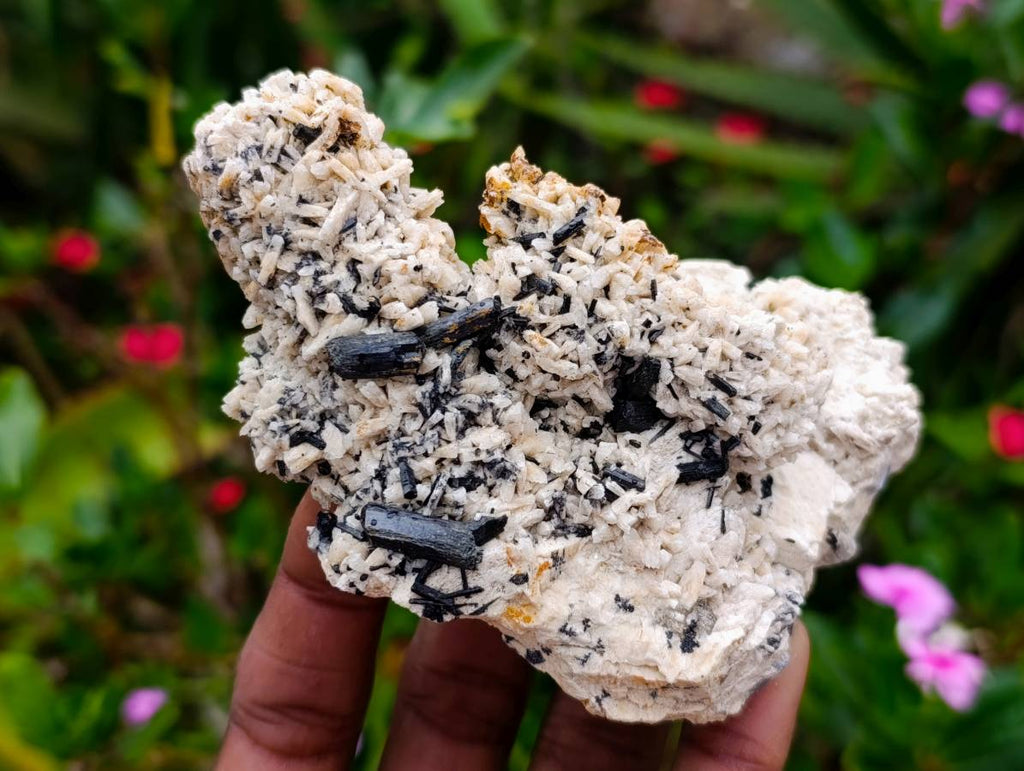 Natural Schorl Black Tourmaline Specimens x 6 From Erongo, Namibia - Toprock Gemstones and Minerals 