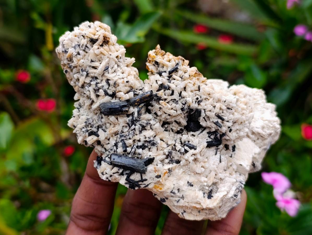 Natural Schorl Black Tourmaline Specimens x 6 From Erongo, Namibia - Toprock Gemstones and Minerals 
