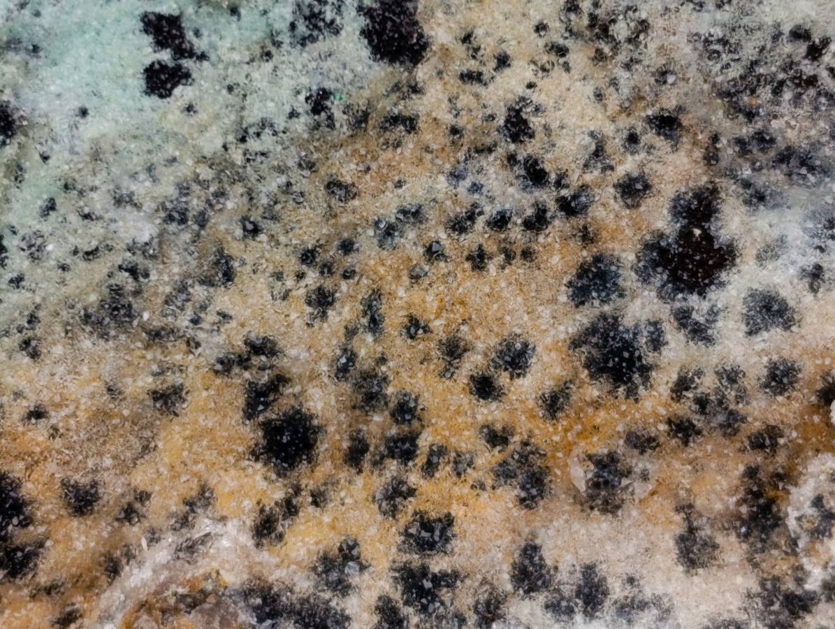 Natural Drusy Coated Chrysocolla Specimens x 2 From Likasi, Congo - Toprock Gemstones and Minerals 