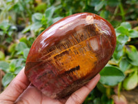 Polished Petrified Red Podocarpus Wood Standing Free Forms x 3 From Madagascar
