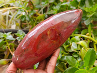Polished Petrified Red Podocarpus Wood Standing Free Forms x 3 From Madagascar