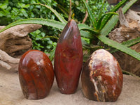Polished Petrified Red Podocarpus Wood Standing Free Forms x 3 From Madagascar