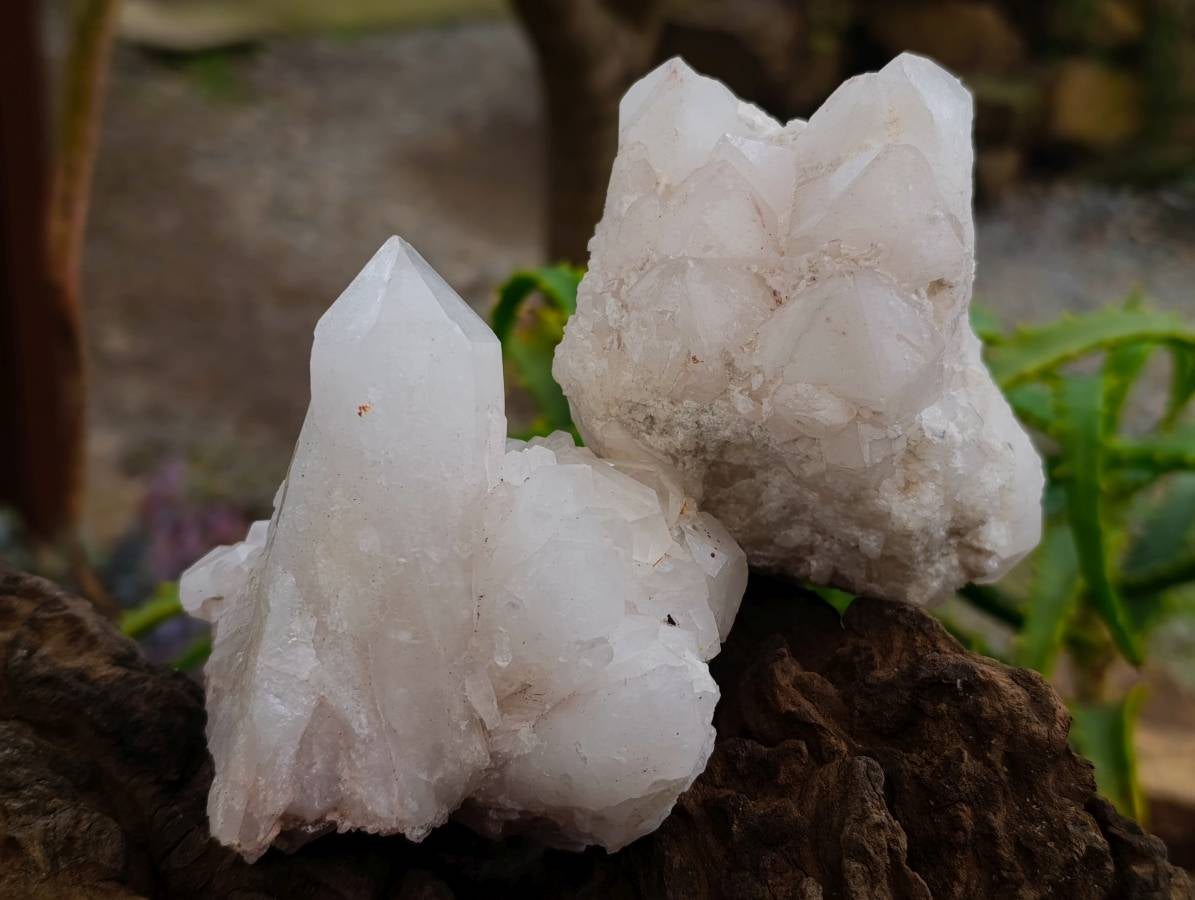 Natural Quartz Crystal Clusters x 6 From Madagascar - Toprock Gemstones and Minerals 