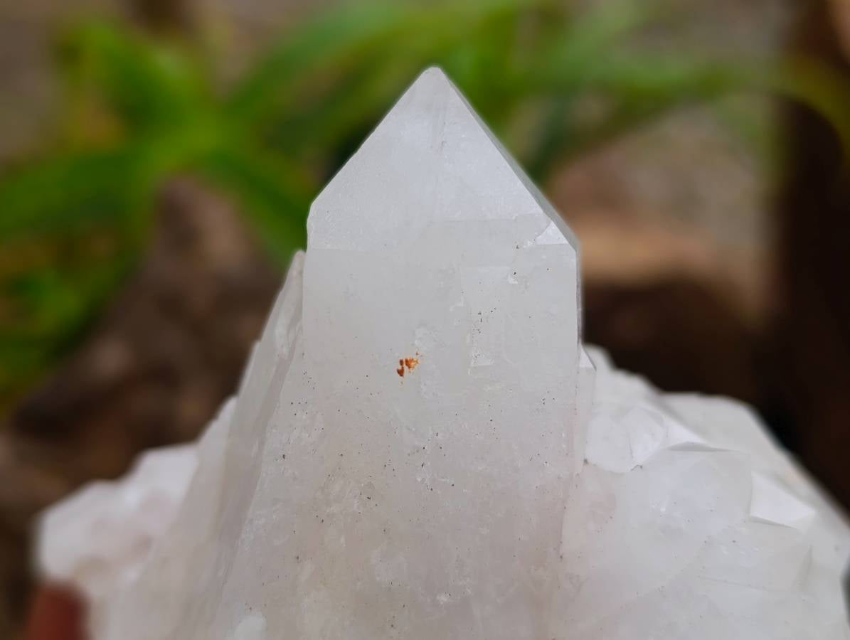 Natural Quartz Crystal Clusters x 6 From Madagascar - Toprock Gemstones and Minerals 