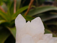 Natural Quartz Crystal Clusters x 6 From Madagascar