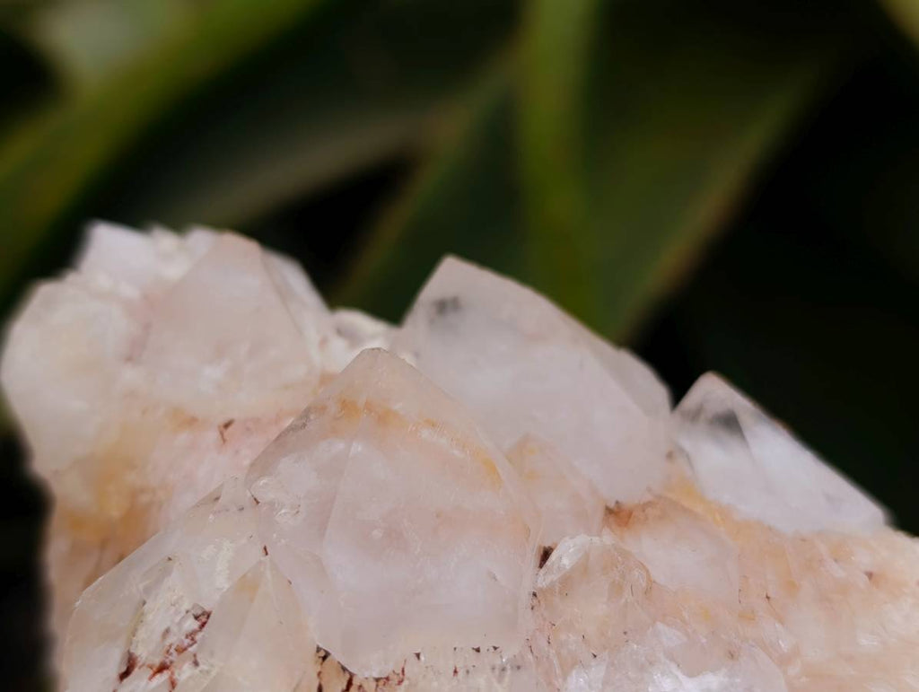 Natural Quartz Crystal Clusters x 6 From Madagascar - Toprock Gemstones and Minerals 