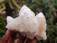 Natural Quartz Crystal Clusters x 6 From Madagascar