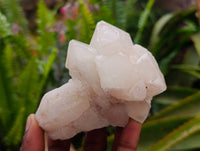 Natural Quartz Crystal Clusters x 6 From Madagascar