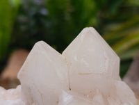 Natural Quartz Crystal Clusters x 6 From Madagascar