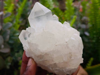 Natural Quartz Crystal Clusters x 6 From Madagascar