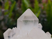 Natural Quartz Crystal Clusters x 6 From Madagascar