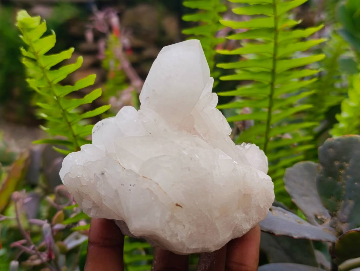Natural Quartz Crystal Clusters x 6 From Madagascar - Toprock Gemstones and Minerals 