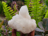Natural Quartz Crystal Clusters x 6 From Madagascar