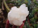 Natural Quartz Crystal Clusters x 6 From Madagascar - Toprock Gemstones and Minerals 