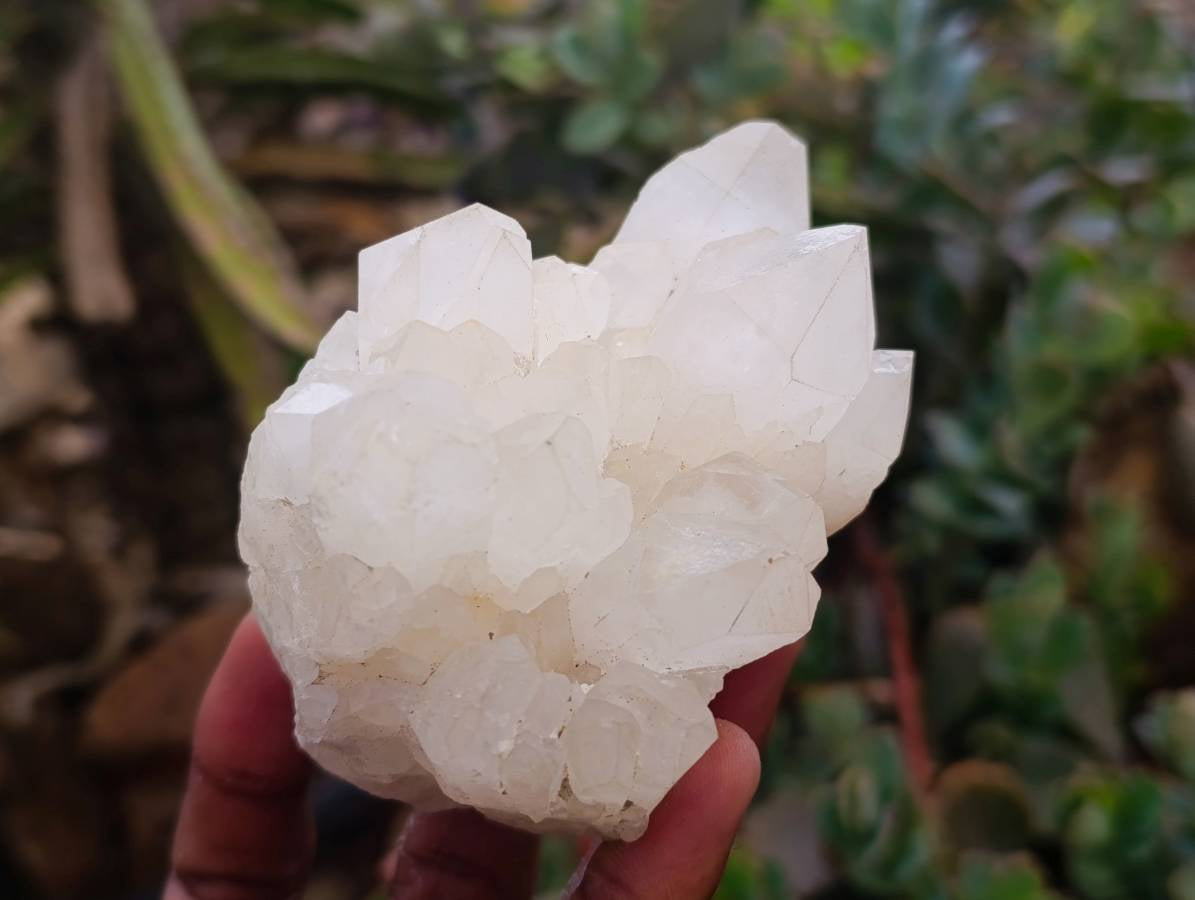 Natural Quartz Crystal Clusters x 6 From Madagascar - Toprock Gemstones and Minerals 