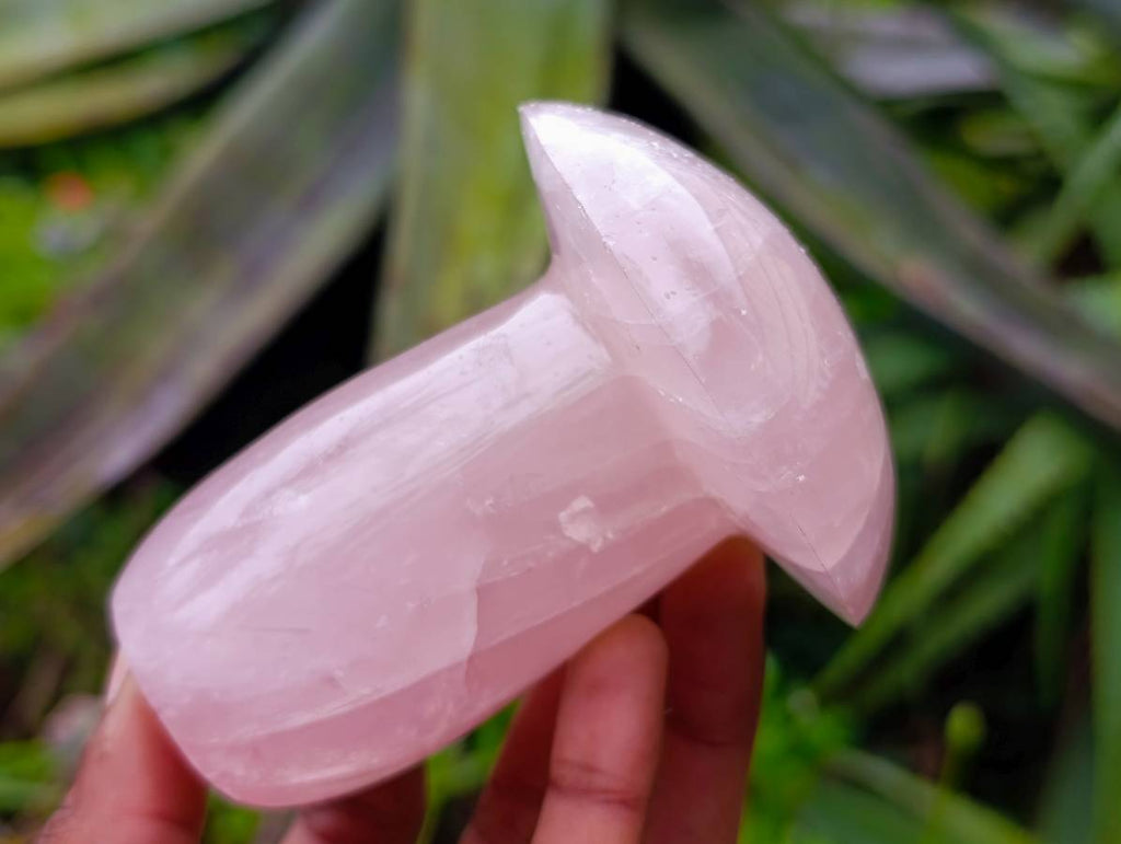 Polished Rose Quartz Mushrooms x 3 From Madagascar - Toprock Gemstones and Minerals 
