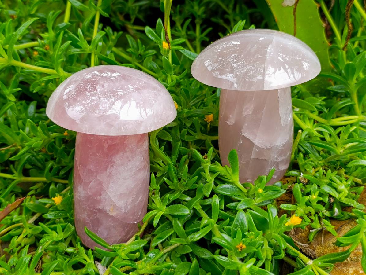 Polished Rose Quartz Mushrooms x 3 From Madagascar - Toprock Gemstones and Minerals 