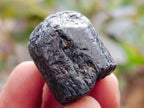 Natural Alluvial Schorl Black Tourmaline Crystals x 2.74 Kg Lot From Zimbabwe - Toprock Gemstones and Minerals 