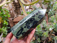 Polished Stromatolite Points x 3 From Katsepy, Madagascar