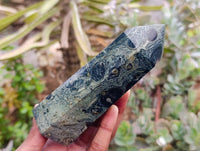 Polished Stromatolite Points x 3 From Katsepy, Madagascar