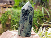 Polished Stromatolite Points x 3 From Katsepy, Madagascar