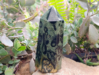 Polished Stromatolite Points x 3 From Katsepy, Madagascar