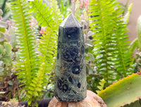 Polished Stromatolite Points x 3 From Katsepy, Madagascar
