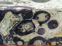 Polished Stromatolite Points x 3 From Katsepy, Madagascar