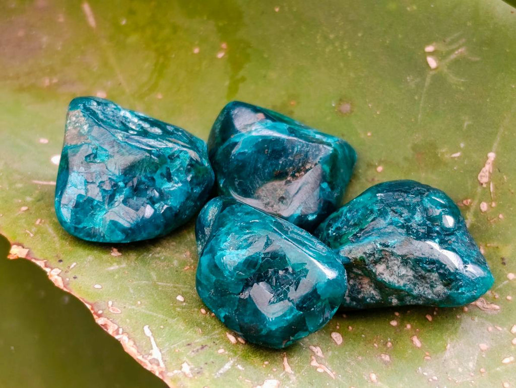 Polished Dioptase Free Forms x 26 From Likasi, Congo - Toprock Gemstones and Minerals 
