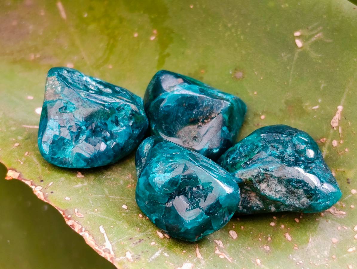 Polished Dioptase Free Forms x 26 From Likasi, Congo - Toprock Gemstones and Minerals 