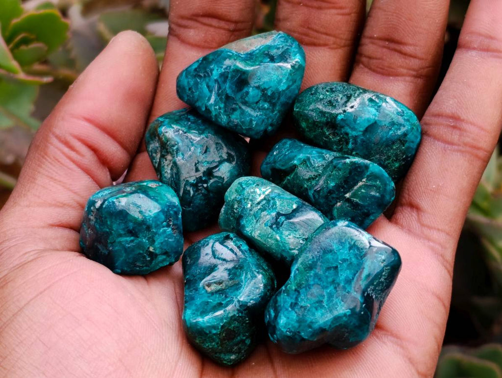 Polished Dioptase Free Forms x 26 From Likasi, Congo - Toprock Gemstones and Minerals 
