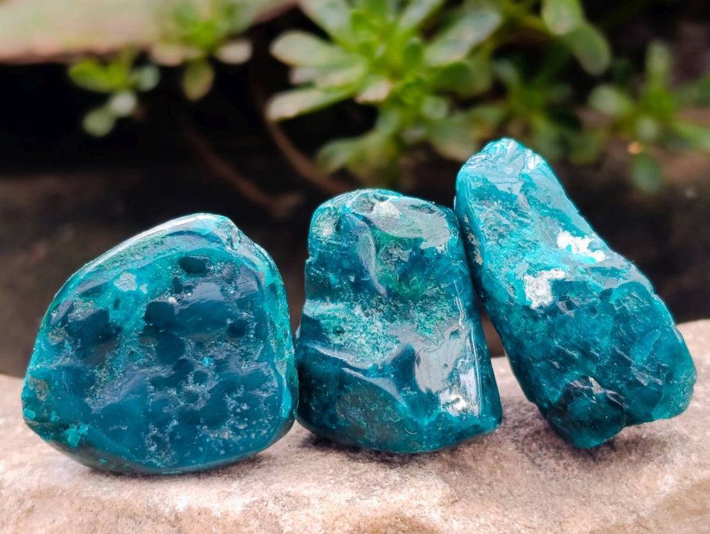 Polished Dioptase Free Forms x 26 From Likasi, Congo - Toprock Gemstones and Minerals 