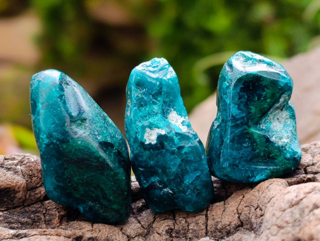 Polished Dioptase Free Forms x 26 From Likasi, Congo - Toprock Gemstones and Minerals 