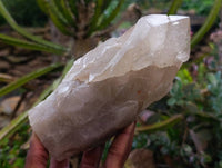 Polished Arcadian Large Smokey Quartz Crystals x 2 From Angola