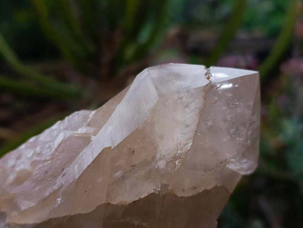 Polished Arcadian Large Smokey Quartz Crystals x 2 From Angola - Toprock Gemstones and Minerals 