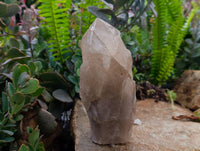 Polished Arcadian Large Smokey Quartz Crystals x 2 From Angola