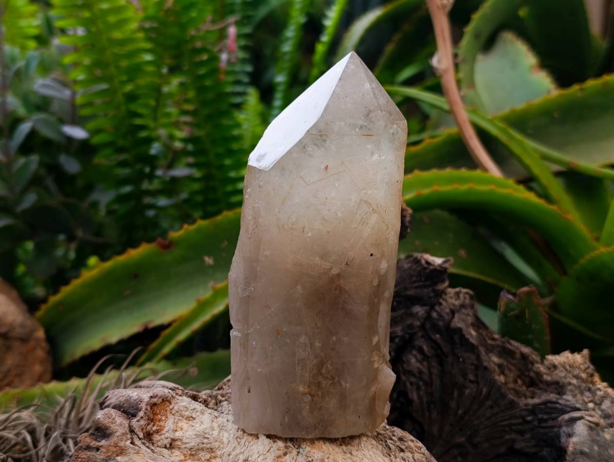 Polished Arcadian Large Smokey Quartz Crystals x 2 From Angola - Toprock Gemstones and Minerals 