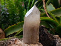 Polished Arcadian Large Smokey Quartz Crystals x 2 From Angola