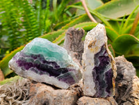 Polished On One Side Watermelon Fluorite Slices x 6 From Uis, Namibia